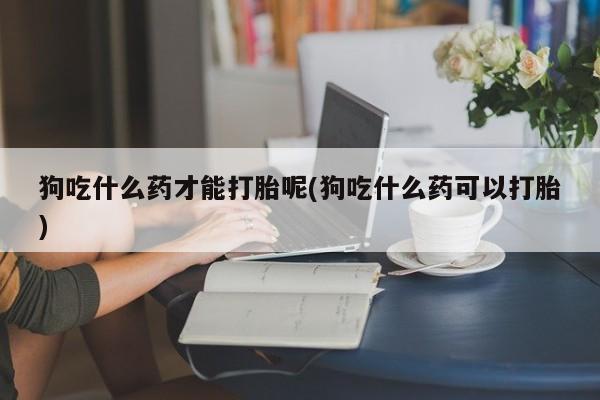 卖正品米非米索购买微信狗吃什么药才能打胎呢(狗吃什么药可以打胎)