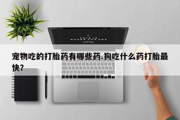 卖正品米非米索购买微信宠物吃的打胎药有哪些药.狗吃什么药打胎最快？