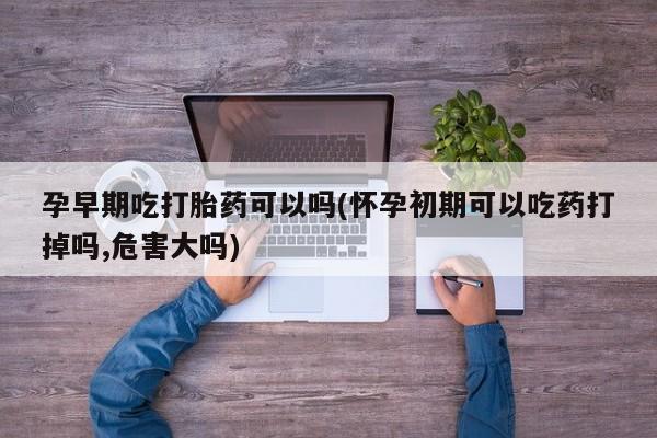 卖正品米非米索购买微信孕早期吃打胎药可以吗(怀孕初期可以吃药打掉吗,危害大吗)